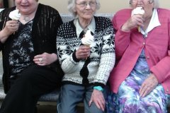 5-Icecream-van-visits-one-of-our-many-social-outings